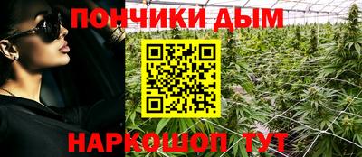 гидропоника Краснодар