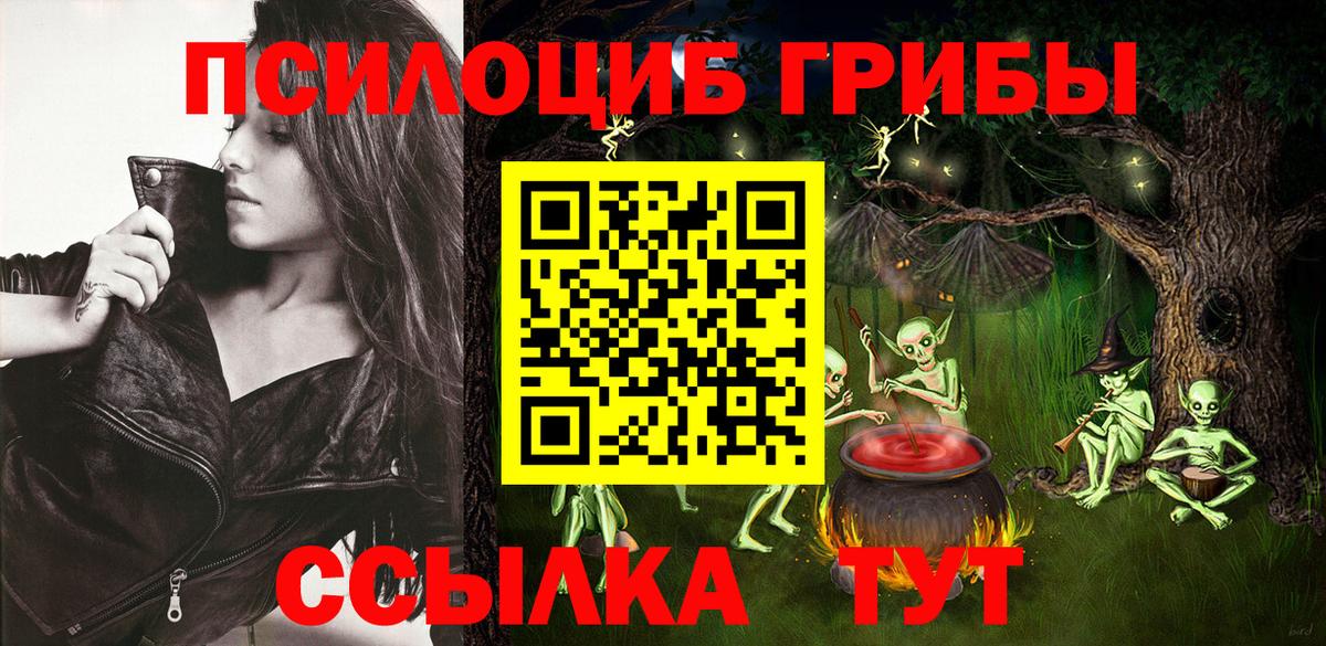 Шали  Псилоцибиновые грибы Psilocybine cubensis  Вход с VPN 