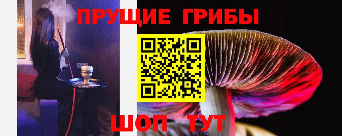 Псилоцибиновые грибы мухоморы Шали